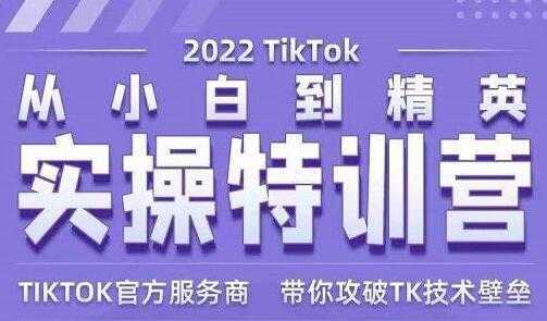 图片[1]-Seven漆《Tiktok从小白到精英实操特训营》带你掌握Tiktok账号运营-丞铭网课