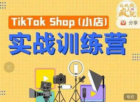 图片[1]-疯人院《TIKTOK SHOP小店实战训练营》海外小店带货，从0到1掌握TK小店运营-丞铭网课