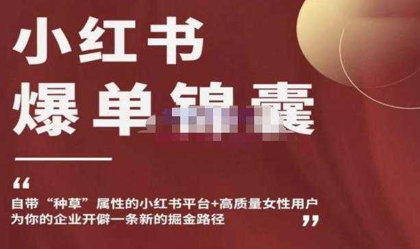 图片[1]-小红书爆单锦囊，自带种草属性+高质量女性用户，为你的企业开辟一条新的掘金路径-丞铭网课