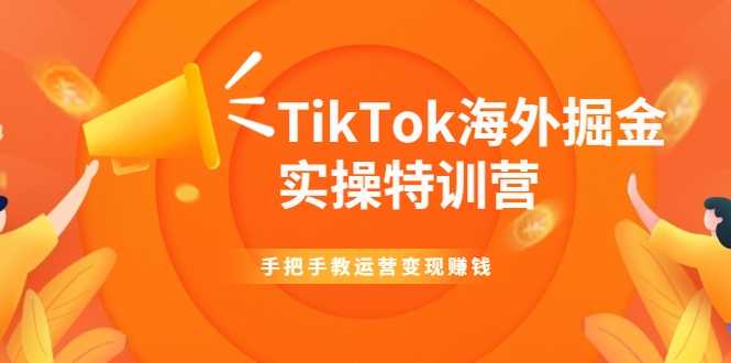 图片[1]-TikTok海外掘金实操特训营：手把手教运营变现赚钱-丞铭网课