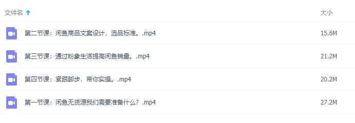 闲鱼无货源项目，月入6000+操作视频教程-丞铭网课