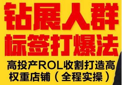 逐鹿《淘宝钻展人群标签打爆法》高投产ROL收割打造高权重店铺(全程实操)-丞铭网课