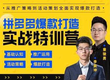 玺承云《拼多多爆款打造实战特训营》一套从入门到高手课程-丞铭网课