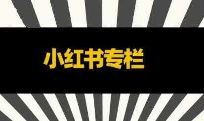 品牌医生《小红书全链营销干货》5个起盘案例，营销策略规划，避坑指南-丞铭网课