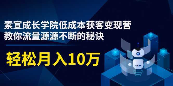 素宣成长学院低成本获客变现营，教你流量源源不断的秘诀，轻松月入10万-丞铭网课