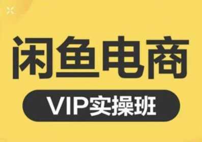 鱼客·闲鱼电商零基础入门到进阶VIP实战课程，帮助你掌握闲鱼电商所需的各项技能-丞铭网课