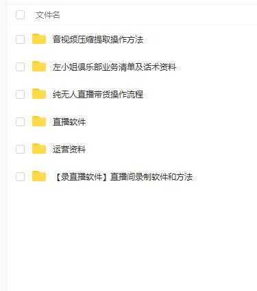 左小姐-直播带货俱乐部十三行、无人直播，全套教程附：工具、文档、话术资料-丞铭网课