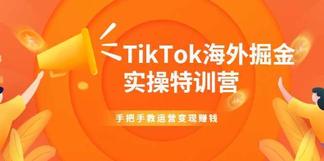TikTok海外掘金实操特训营：手把手教运营变现赚钱-丞铭网课
