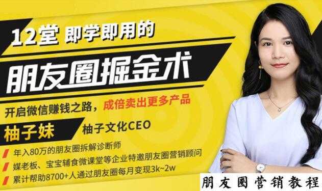 【营销必学】12堂学之即用的朋友圈掘金术：开启你的副业赚钱之路-丞铭网课