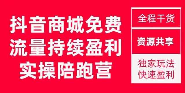 抖音商城搜索持续盈利陪跑成长营，抖音商城搜索从0-1、从1到10的全面解决方案-丞铭网课
