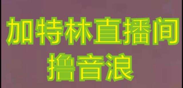 抖音加特林直播间搭建技术，抖音0粉开播，暴力撸音浪，2023新口子，每天800+【素材+详细教程】-丞铭网课
