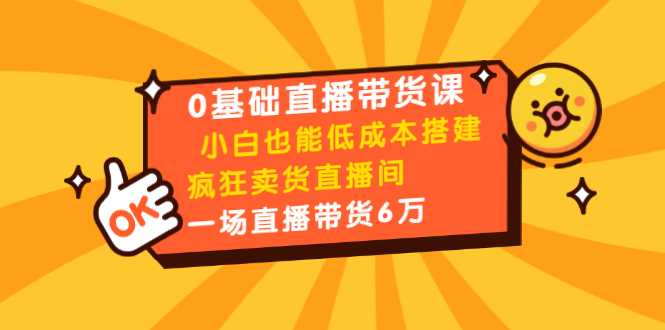 0基础直播带货课:小白也能低成本搭建疯狂卖货直播间:1场直播带货6万-丞铭网课