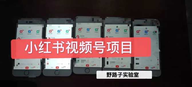 野路子小红书视频号1.0项目，直接上手操作就能赚钱的视频号项目-丞铭网课