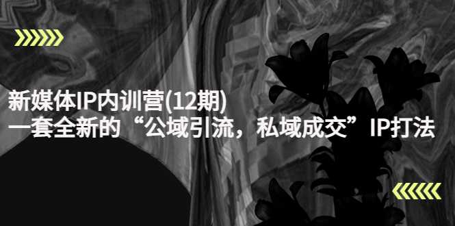 新媒体IP内训营(12期)，一套全新的“公域引流，私域成交”IP打法，直接带走-丞铭网课